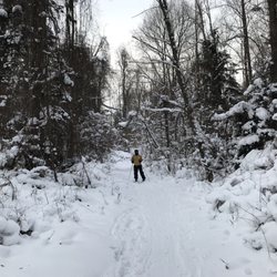 Webster Parks & Recreation Center - One of the non-groomed trails
