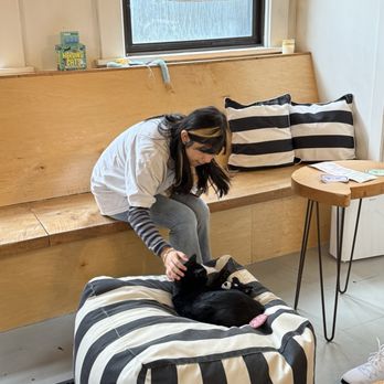 NEKO: A Cat Cafe - Themed Cafes Near Me - Seattle, Washington