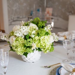 HIVE Home, Gift & Garden