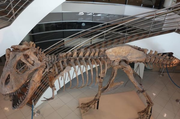 University of California Museum of Paleontology by null