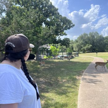 Lago Vista Golf Course - Golf Near Me - Lago Vista, Texas Lago Vista Golf Course - Golf Near Me - Lago Vista, Texas
