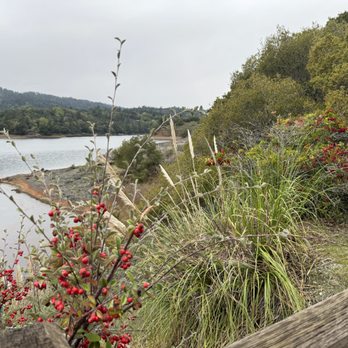Crystal Springs Park - Parks Near Me - Hillsborough, California Crystal Springs Park - Parks Near Me - Hillsborough, California