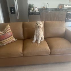 Walker's Furniture and Mattress