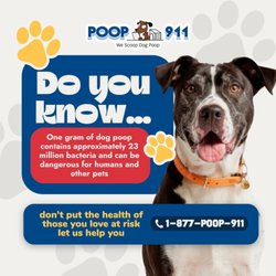 POOP 911