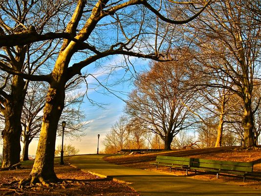Owl's Head Park by null