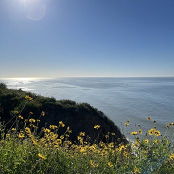 Ocean Trails - February California weather. - Hiking Near Me - Rancho Palos Verdes, California