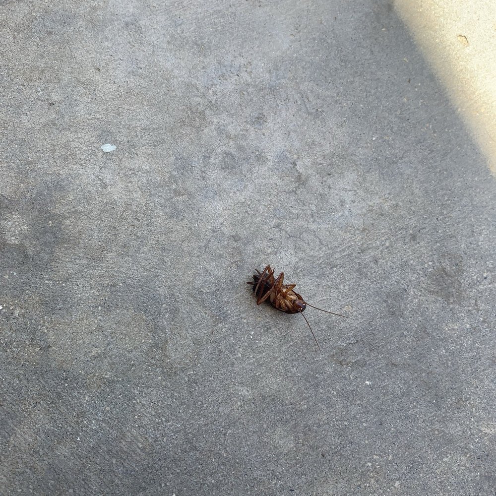 Onyx Properties - Roach - Apartments Near Me - Visalia, California