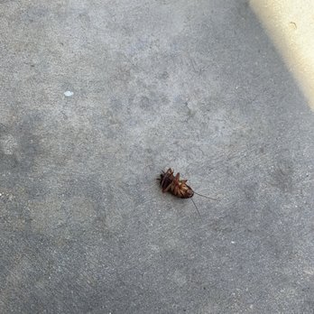 Onyx Properties - Roach - Apartments Near Me - Visalia, California