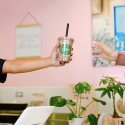 Cactus Nutrition Spot