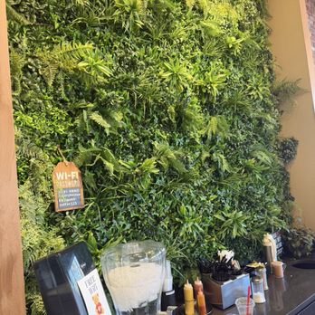 Bakery Museum & Co - Cute backdrop - Cafes Near Me - Fairfax, Virginia