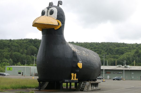 Yard Birds Mall & Storage by null