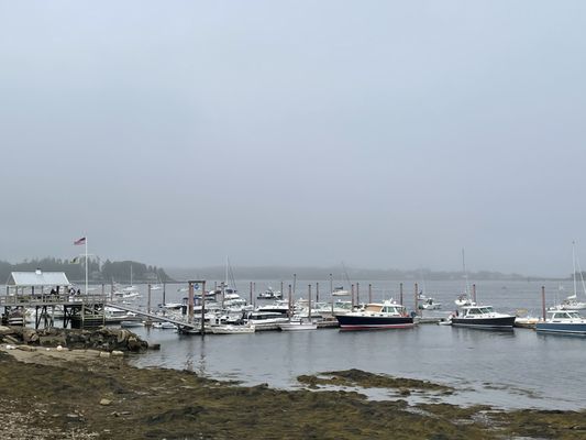 Dolphin Marina & Restaurant by null