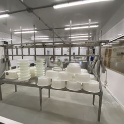Frisian Farms - More cheese prep
