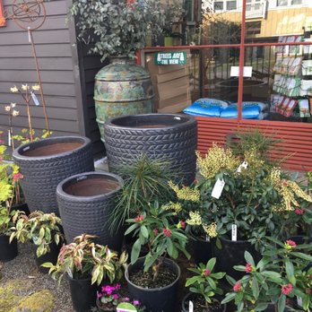 Urban Earth - Nurseries & Gardening Near Me - Seattle, Washington Urban Earth - Nurseries & Gardening Near Me - Seattle, Washington
