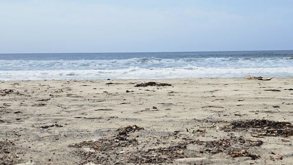 Zuma Beach by null