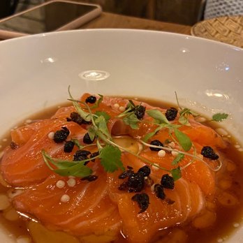 Tiga - Scottish salmon - Sushi Bars Near Me - Port Washington, New York Tiga - Scottish salmon - Sushi Bars Near Me - Port Washington, New York