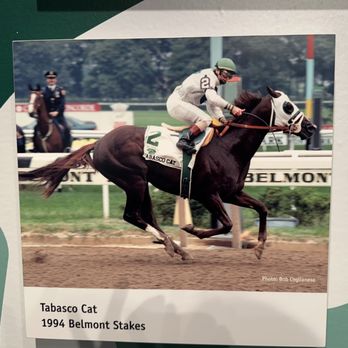 Kentucky Derby Museum - One of D.Wayne's thoroughbreds.  Lost the Derby, but won the last two parts of the triple crown, The Preakness and the Belmont Stakes. - Museums Near Me - Louisville, Kentucky