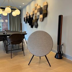 user provided Bang & Olufsen photo