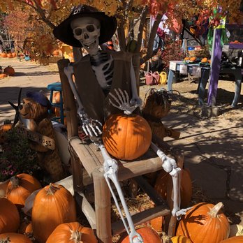 Viola's Flower Garden - Waiting for the perfect pumpkin... - Nurseries & Gardening Near Me - Flagstaff, Arizona Viola's Flower Garden - Waiting for the perfect pumpkin... - Nurseries & Gardening Near Me - Flagstaff, Arizona
