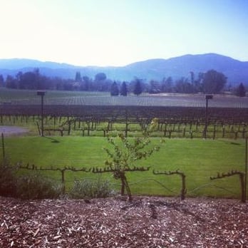 Mumm Napa - View from the seating in front of the inside patio seating with the floor to ceiling sliding glass doors. - Wine Tasting Room Near Me - Rutherford, California