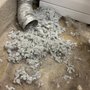 Dirty Ducks Dryer Vent & Air Duct