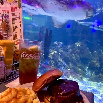 Dillon's - Brisket sandwich amazing Mac and cheese and a fantastic view! - Barbeque Near Me - Litchfield Park, Arizona