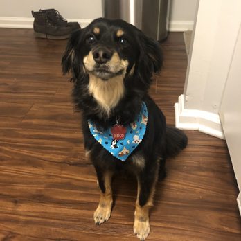 Dog Bites Munchery & More - Pet Stores Near Me - Rock Hill, South Carolina