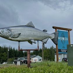 Homer Fish Processing