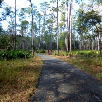 Big Shoals State Park - Trail - Hiking Near Me - White Springs, Florida Big Shoals State Park - Trail - Hiking Near Me - White Springs, Florida
