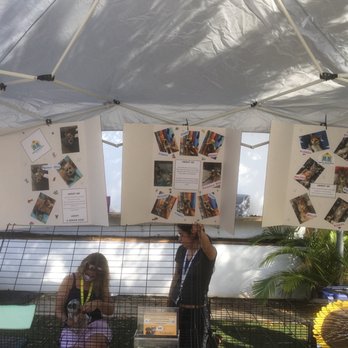 United For Animals Rescue - Sunny side market event - Animal Shelters Near Me - Margate, Florida