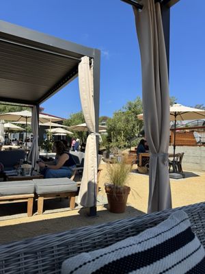 Point Reyes Farmstead Cheese Co by null