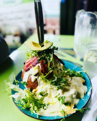 TibbittsFernHill by null