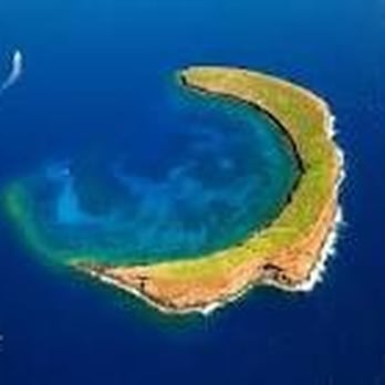 Scuba Shack - Snorkeling Near Me - Kihei, Hawaii Scuba Shack - Snorkeling Near Me - Kihei, Hawaii