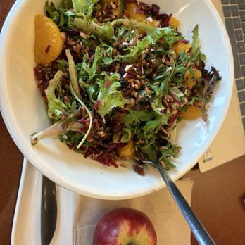 Panera Bread - Harvest salad - Sandwiches Near Me - Milford, Ohio Panera Bread - Harvest salad - Sandwiches Near Me - Milford, Ohio