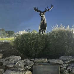 LaFortune Park
