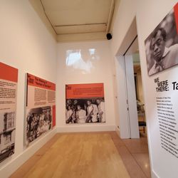 Exhibits & displays