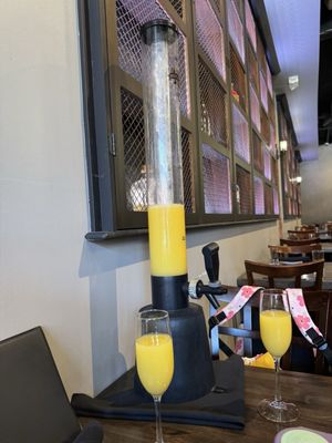 Avenue Social Kitchen & Cocktails by null