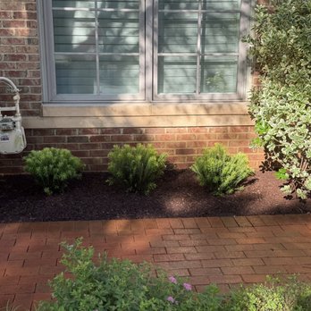 Tenleytown Lawn & Landscape - New yews - Landscaping Near Me - Washington, DC, District of Columbia Tenleytown Lawn & Landscape - New yews - Landscaping Near Me - Washington, DC, District of Columbia