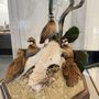 Delmarva Discovery Museum