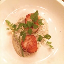 De Hemel op Aarde - Coquilles met truffelsaus. #hemels