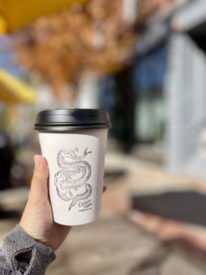 Curio Coffee by null