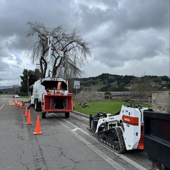 Antonio's Landscaping - Storm Tree Removal - Landscaping Near Me - Los Olivos, California Antonio's Landscaping - Storm Tree Removal - Landscaping Near Me - Los Olivos, California
