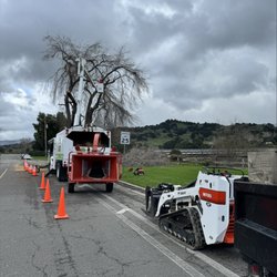 Antonio's Landscaping - Storm Tree Removal