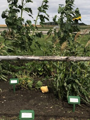 Lewis and Clark Interpretive Center by null