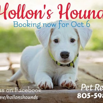 Hollon's Hounds - Brand new Boarding Facility SYV, Hollon's Hounds Training available by Angela Adan Grooming services available by Bree's Mobile Paw Spa - Pet Training Near Me - Santa Ynez, California Hollon's Hounds - Brand new Boarding Facility SYV, Hollon's Hounds Training available by Angela Adan Grooming services available by Bree's Mobile Paw Spa - Pet Training Near Me - Santa Ynez, California