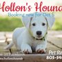 Photo of Hollon's Hounds