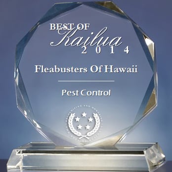 Eco Smart Pest Control - This is our 3rd Best of Kailua Award - Pest Control Near Me Eco Smart Pest Control - This is our 3rd Best of Kailua Award - Pest Control Near Me