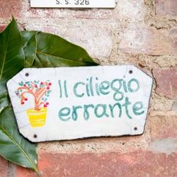 Il Ciliegio Errante