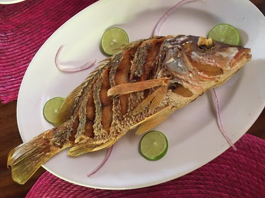 Carmelitas Café by null