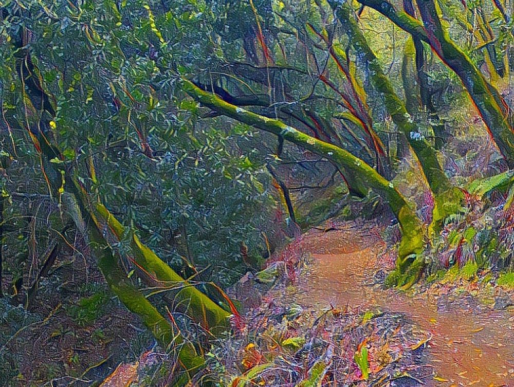 KENNEDY GROVE REGIONAL RECREATION AREA 163 Photos & 32 Reviews